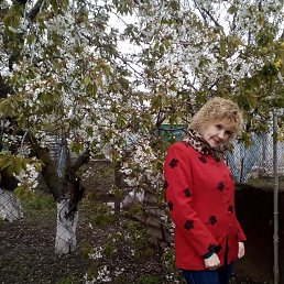 , 57, 