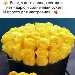 ���� ������, ������ - ��������� 9 ������ 2017