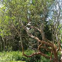  , , 60  -  17  2017      ,17.05.17.