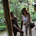 ���� �����, �����-��������� - ��������� 5 ��� 2017 � ������ ���������� � ��