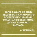 ���� �����, �����-��������� - ��������� 3 ��� 2017
