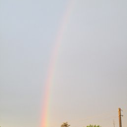 ������, �����, 66 ���