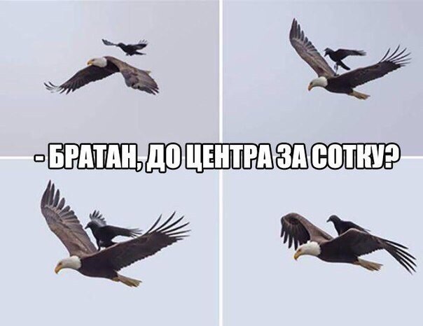    - 25  2017  07:42