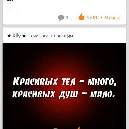 �����, ������, 37 ���