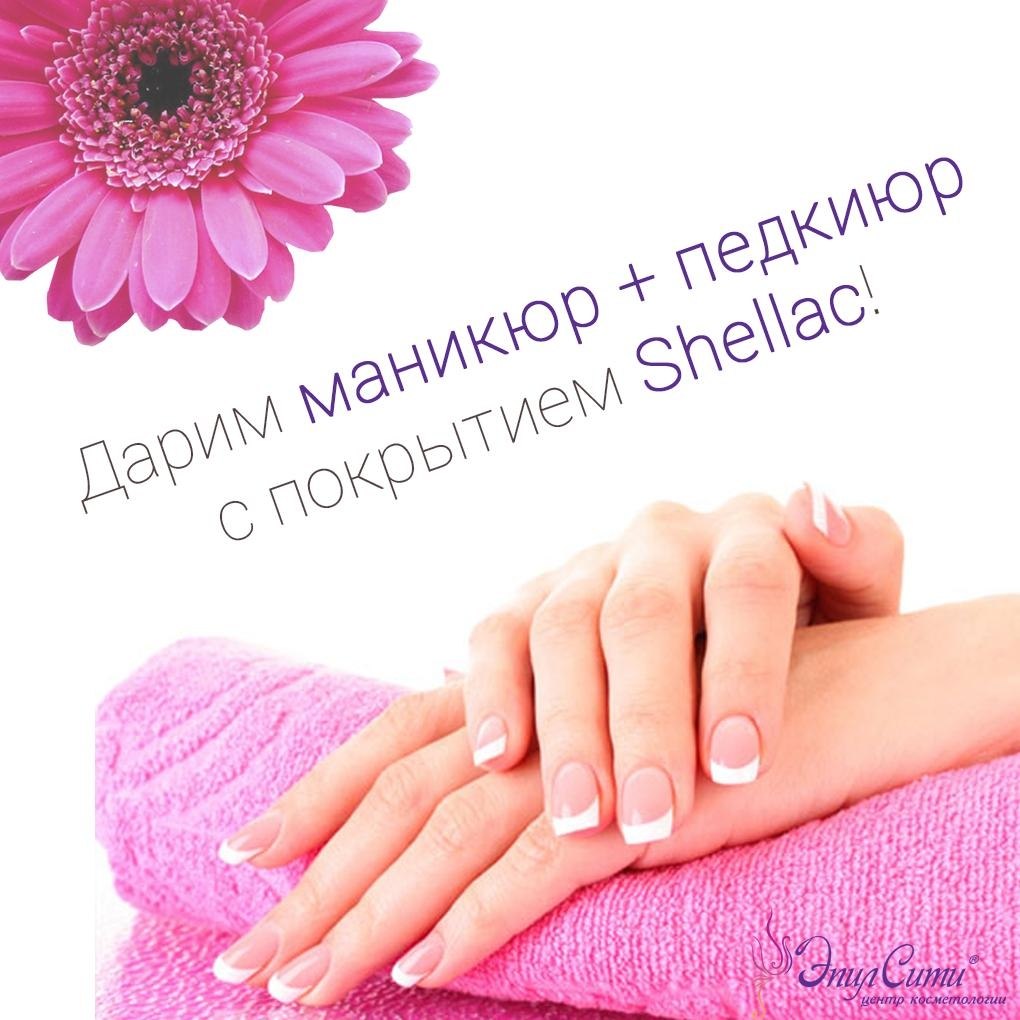       Shellac!  : ...