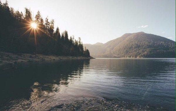 ������� � �������� - 2