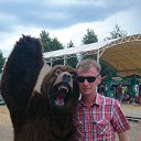 ���� ������, ������������, 38 ��� - ��������� 31 ���� 2017 � ������ ���� ����������