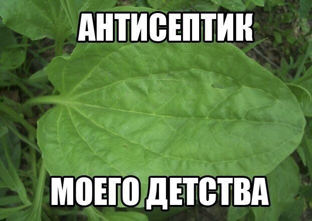 =Fox= - 21  2017  00:47