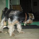 �� ����� ���������. �� ������� �������� (������)�