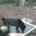 ���� �������, ����������� - ��������� 3 ������� 2017 � ������ ������� ��.�