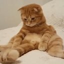 ���� �������, �����, 52 ���� - ��������� 9 ��� 2017 � ������ ���� ����������