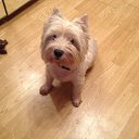 ���� ���������, ������, 49 ��� - ��������� 26 ���� 2017