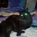 ����� �� ������� ���� ����������