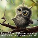 ���� ����, �����, 60 ��� - ��������� 22 ���� 2017 � ������ ������ ��������