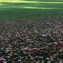  , - -  14  2017      .