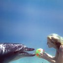 ���� �����, ����� ������ - ��������� 17 ������ 2017 � ������ ���� ����������