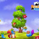 ���� �����, ������ - ��������� 14 ������� 2017 � ������ �������� �������-�������