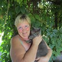 ���� �������, ��������� - ��������� 11 ������� 2017 � ������ ���� ����������