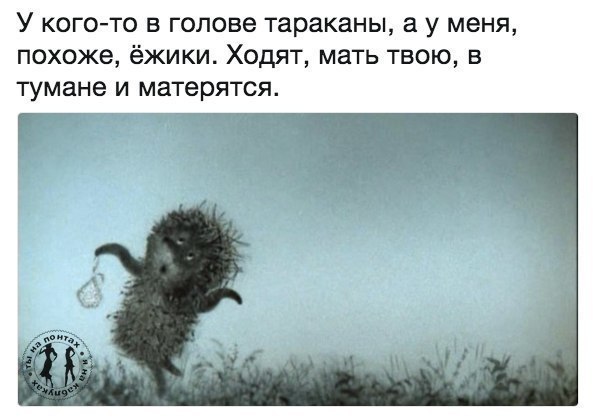   ,   .© - 29  2017  18:14