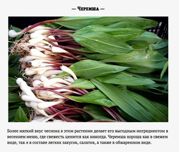 6 главных овощей этой весны.Существует масса причин того, почему весна намного лучше начала нового ... - 6