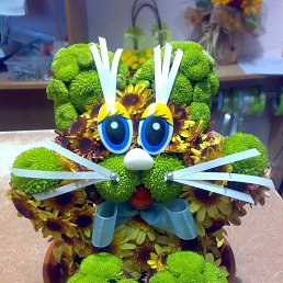 ���� �������, �����������, 64 ���� - ��������� 6 ��� 2017