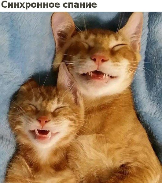 ������ - ��������� - 28 �������� 2017 � 12:21