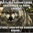 ���� �������� �������, ������ - ��������� 14 �������� 2017 � ������ ������ ��������