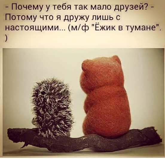  - 1  2017  10:35