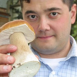 �����, ������