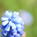 ���� ���������, ���� - ��������� 17 ��� 2017 � ������ ���� ������ ����� ������