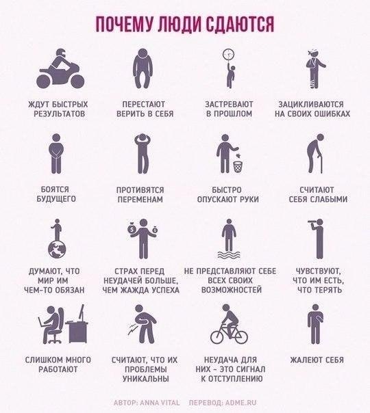 IQ Blog: , , ,  - 9  2017  14:06