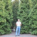 ���� ����, ������, 43 ���� - ��������� 1 ������ 2017 � ������ ���� ����������