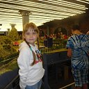 ���� �����, �����-���������, 41 ��� - ��������� 19 ���� 2017 � ������ ������ ��������