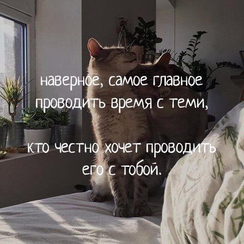 Любите друг друга, Прощайте друг друга. А все остальное суета, без которой можно прожить... - 5