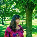 ���� ������, �����-���������, 63 ���� - ��������� 22 ������ 2017 � ������ ���� ����������