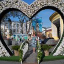 ���� �����, ������, 12.09.2017 ���� �� ������� ���� ����������