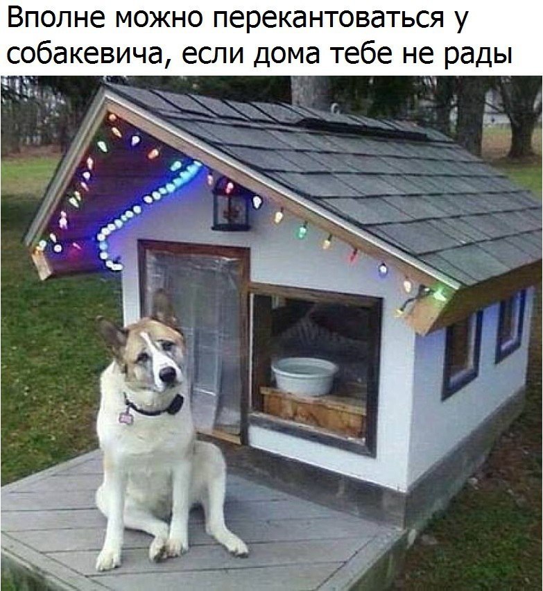    - 7  2017  10:11