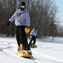 ���� ����, ������, 42 ���� - ��������� 29 ������� 2017 � ������ ���� ����������