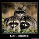 ���� Rus, �����-���������, 53 ���� - ��������� 22 ���� 2017 � ������ ���� ����������