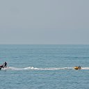  , , 60  -  12  2017   , 2017, ,.