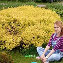 ���� ��������, ������ - ��������� 10 ���� 2017 � ������ ���� ����������