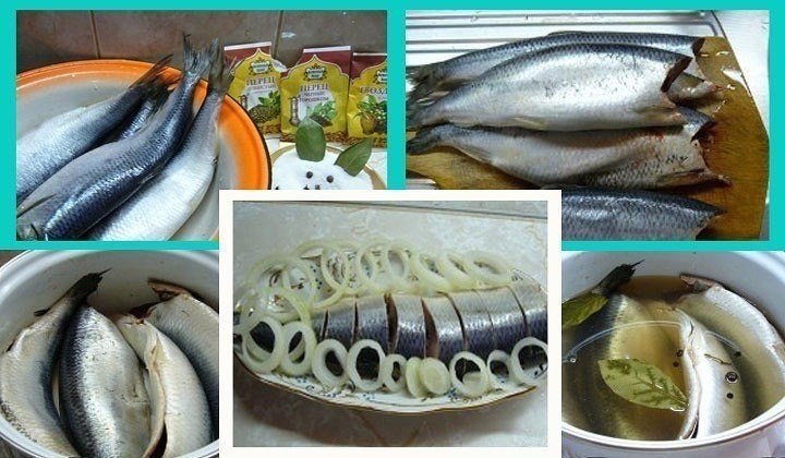Как засолить селедку.А какая получается вкуснятина… Больше никогда не покупаю магазинную соленую ...