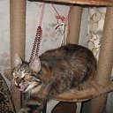 ���� E����, �����-���������, 57 ��� - ��������� 23 ���� 2017 � ������ ������ ��������