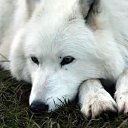 ���� ��������, ����������� - ��������� 14 ���� 2017 � ������ ���� ����������