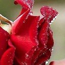  ♥♠ ,  -  6  2017    