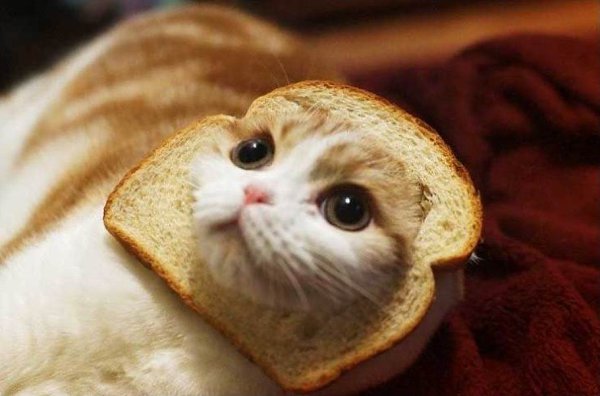 ��, ��� �� �����: ���� �� ������, ���� �� ������, ���� �� ������. - 5