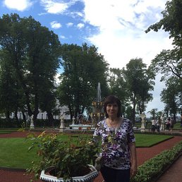 ���� ������, ��������, 62 ���� - ��������� 17 ������� 2017