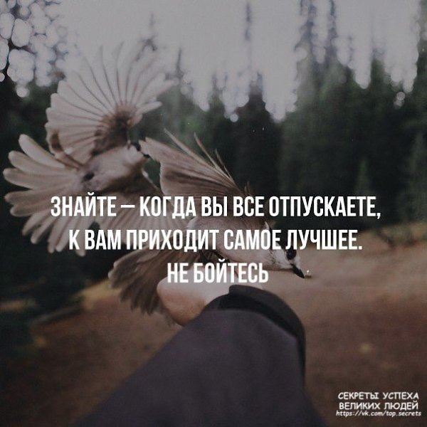     - 28  2017  13:10