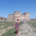  ,  , 54  -  12  2017    