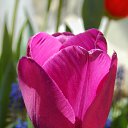 14.05.2017 �� ������� ���� ����������� (!) ��������)�